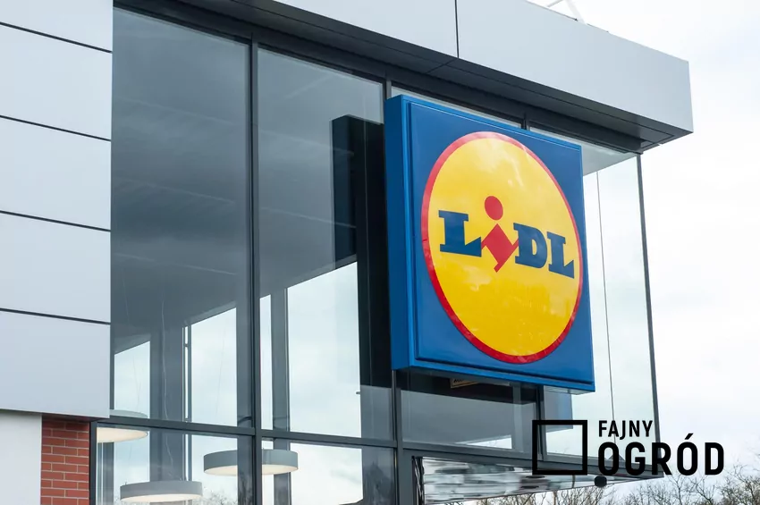 Przegląd gazetki Lidla z dn. 23-25.10 Sklep Lidl