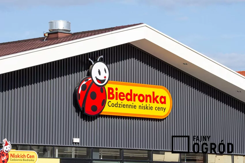 Przegląd gazetki Biedronki z dn. 20-25.10 Sklep Biedronka