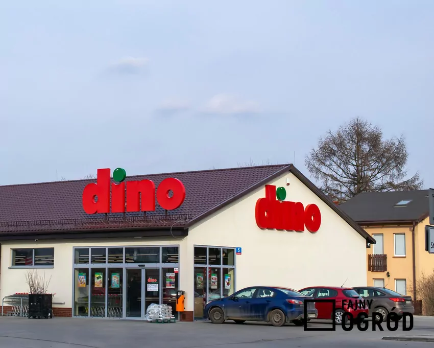 W dniach 22-28 października mnóstwo promocji w Dino Dino