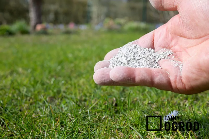 Intensywna uprawa roślin powoduje zakwaszanie gleby