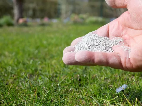 Wapnowanie gleby w ogrodzie