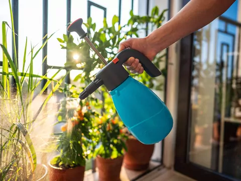 Podlewanie roślin drożdżami