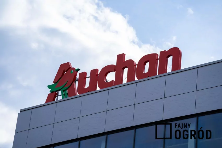 W dniach 23-29.10 duże promocje w Auchan Auchan