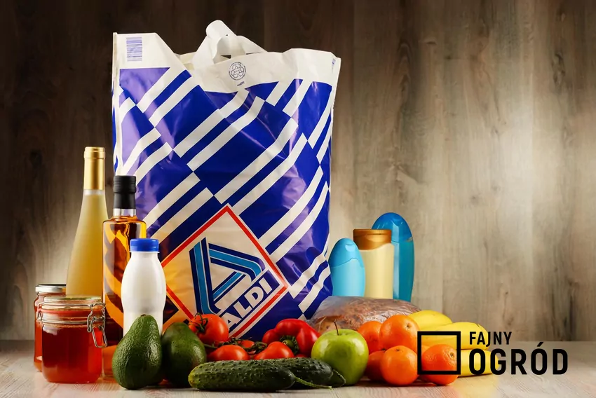 Przegląd gazetki ALDI z dn. 27-31.10 Zakupy ze sklepu Aldi