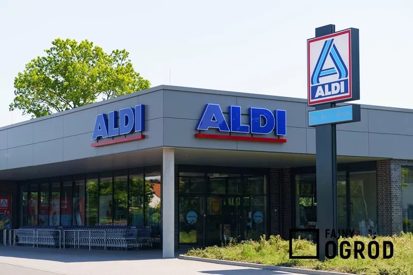Logo ALDI