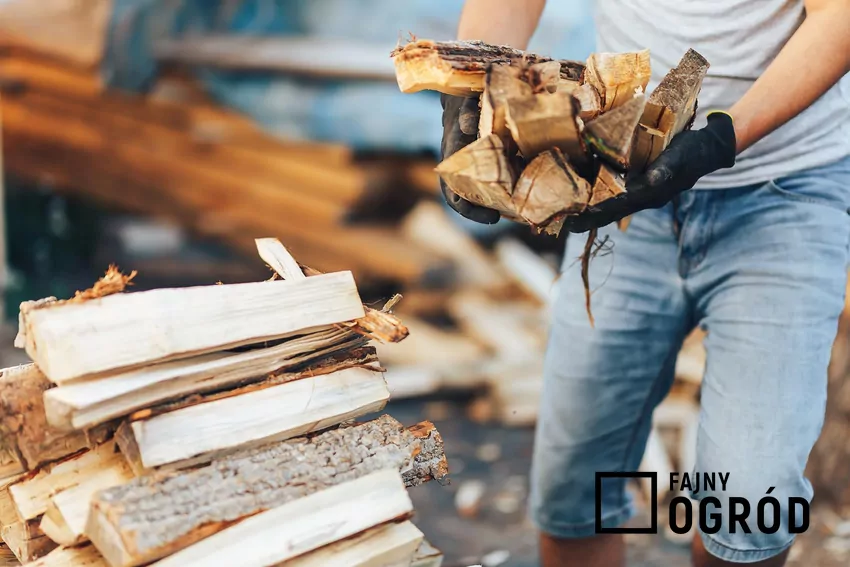 Wysoka gęstość, twardość i kaloryczność drewna przekładają się na długi czas spalania Rąbanie drewna kominkowego