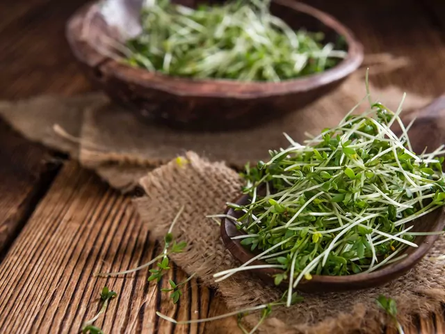 Rukiew wodna: sadzenie i uprawa