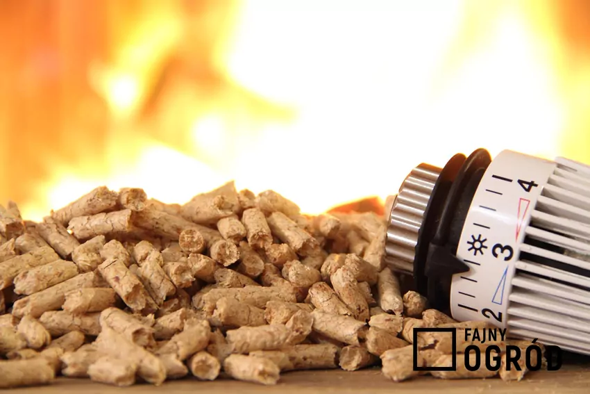 Kaloryczność, określana też jako wartość opałowa, to miara energii cieplnej, jaką wytwarza spalanie jednego kilograma paliwa Pellet, ogień i termostat