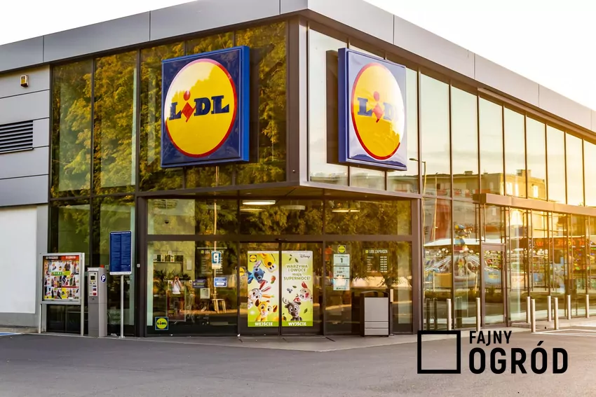 Przegląd gazetki Lidla z dn. 30-31.10 Sklep Lidl