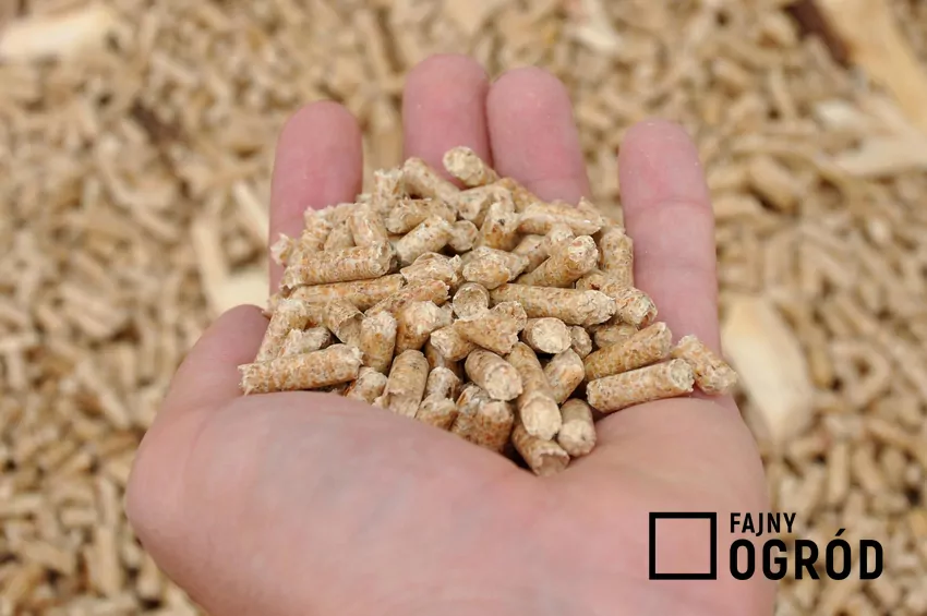 Pellet drzewny jest paliwem w pełni ekologicznym Suchy, certyfikowany pellet zapewnia wysoką sprawność energetyczną pieca