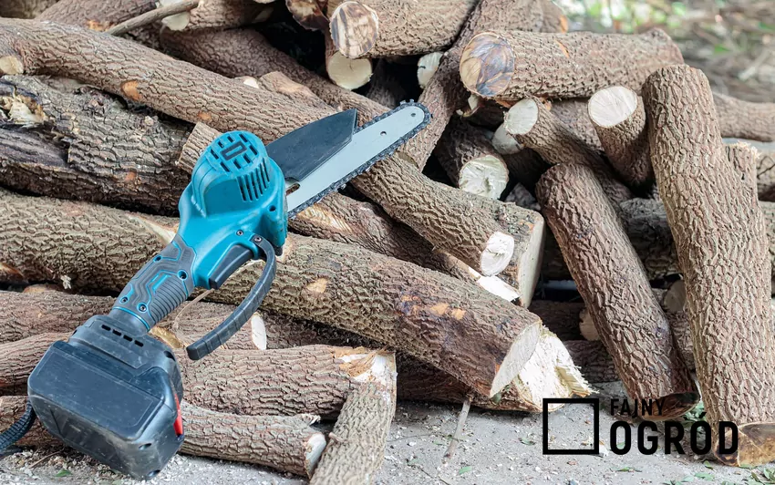 Pilarka akumulatorowa do cienkiego drewna