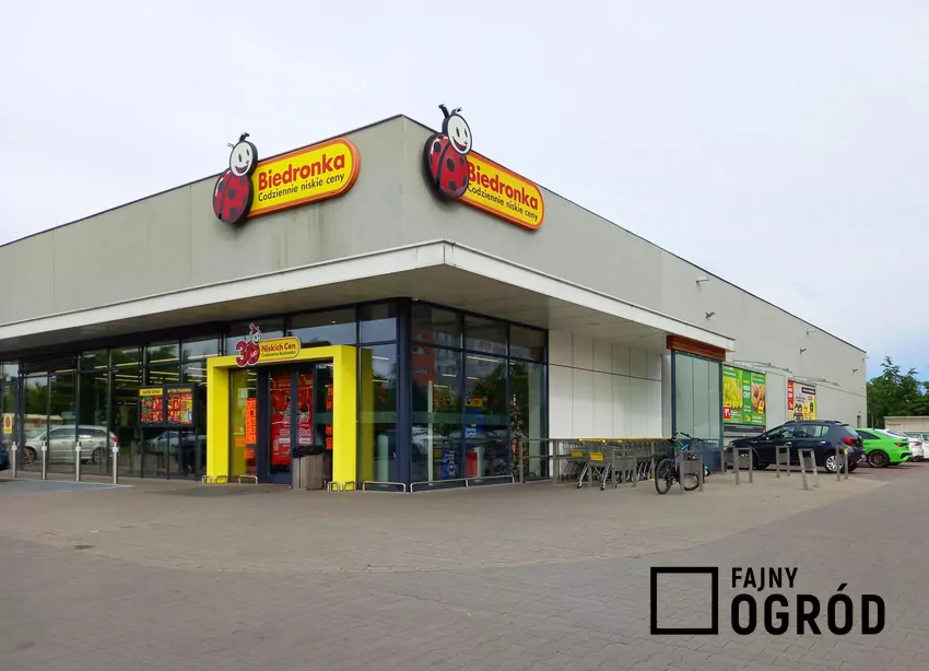 Przegląd gazetki Biedronki z dn. 3-8.11 Sklep Biedronka