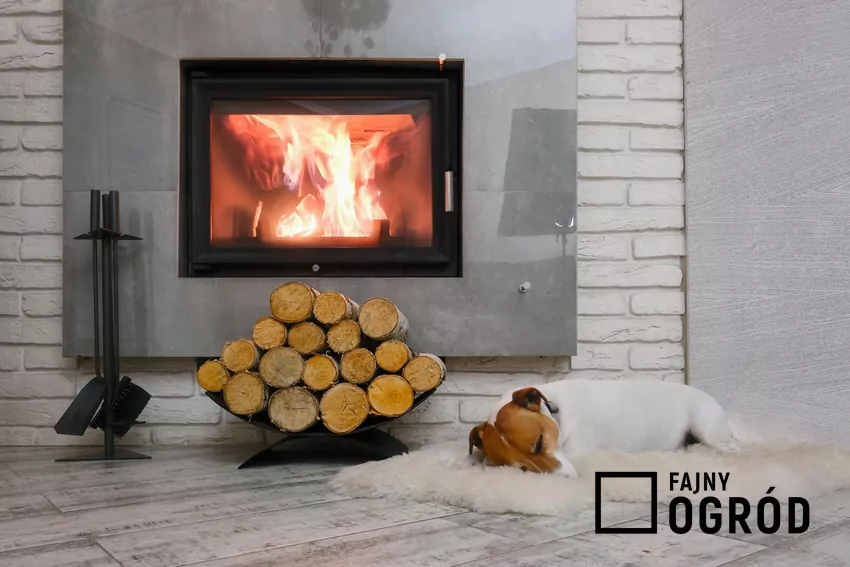 Kluczowym czynnikiem ograniczającym używanie kominków są uchwały antysmogowe Kominek i drewno opałowe w salonie