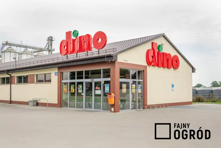 W dniach 5-10 listopada duże promocje w Dino Market Dino