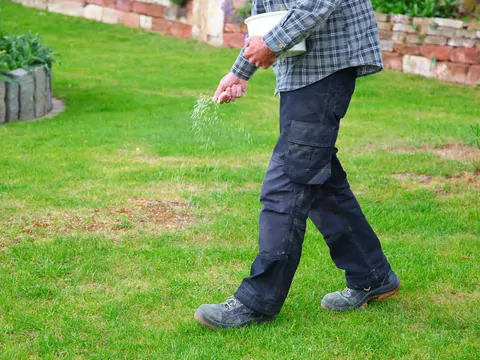 Mączka bazaltowa na trawnik