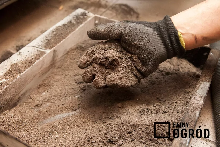 Dłoń w rękawicy i popiół