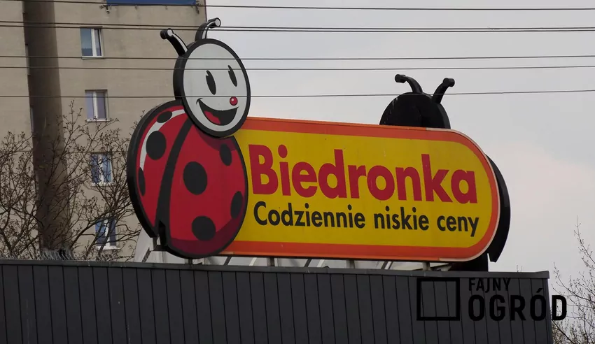 Biedronka