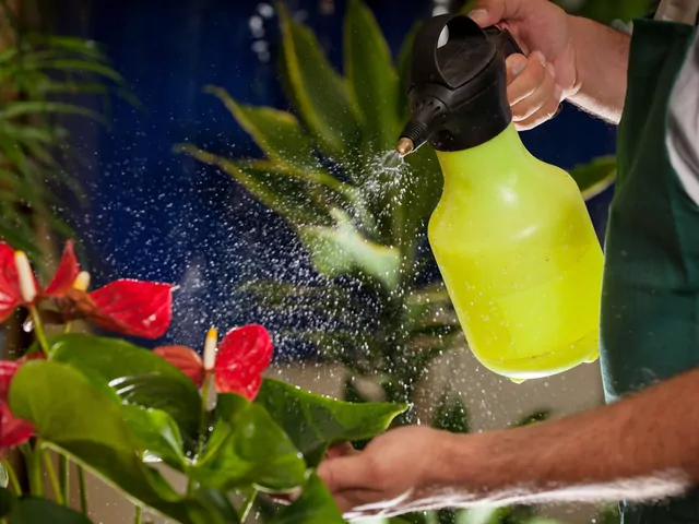 Oprysk z czosnku na kwiaty doniczkowe