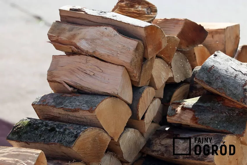 Wilgotne drewno – największy wróg czystego spalania w kominku Drewno kominkowe