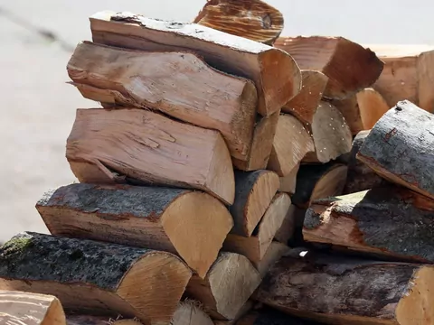 Poziom dymienia różnych gatunków drewna