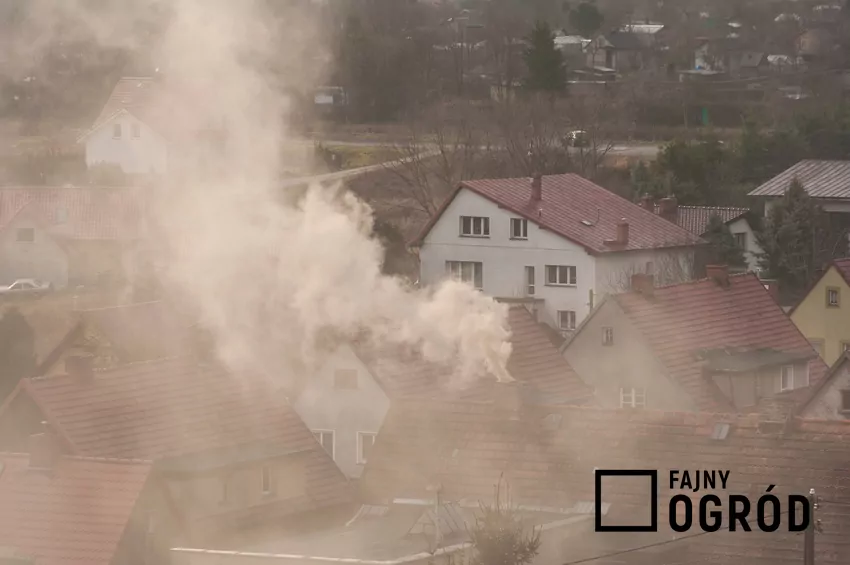 Gęsty dym z kominka – problem dla zdrowia i środowiska Gęsty dym wydobywający się z komina