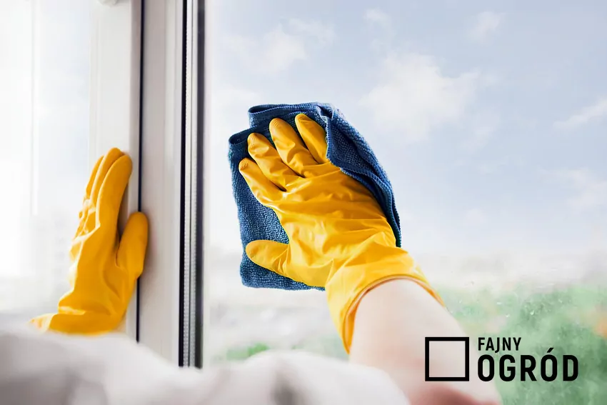 Istnieje wiele sposobów na czyste okna - również tych ekologicznych Mycie okien w rękawiczkach