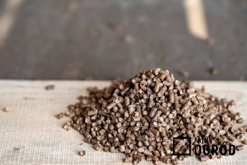 Pellet - popularny opał