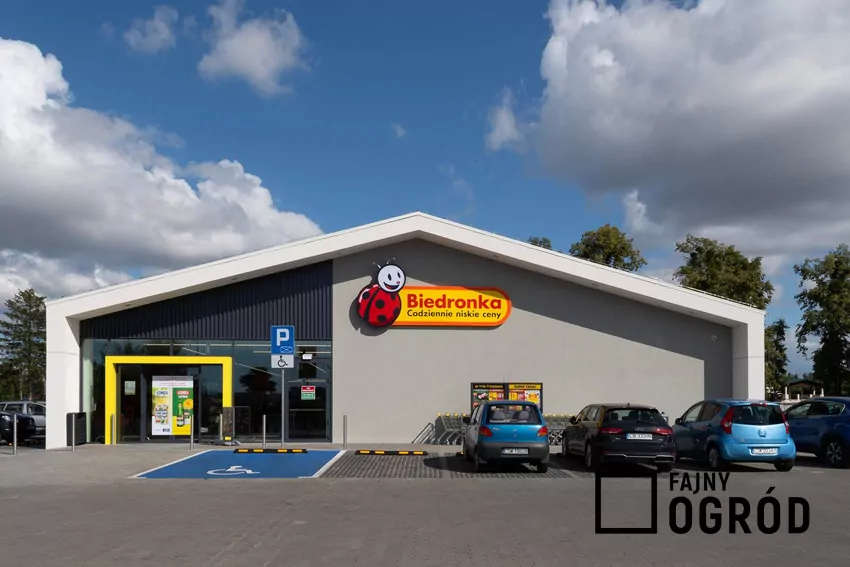 Przegląd gazetki Biedronki z dn. 17-22.11 Biedronka