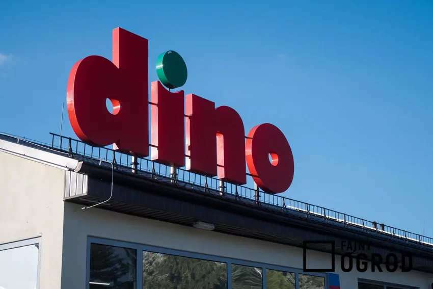 Dino - logo