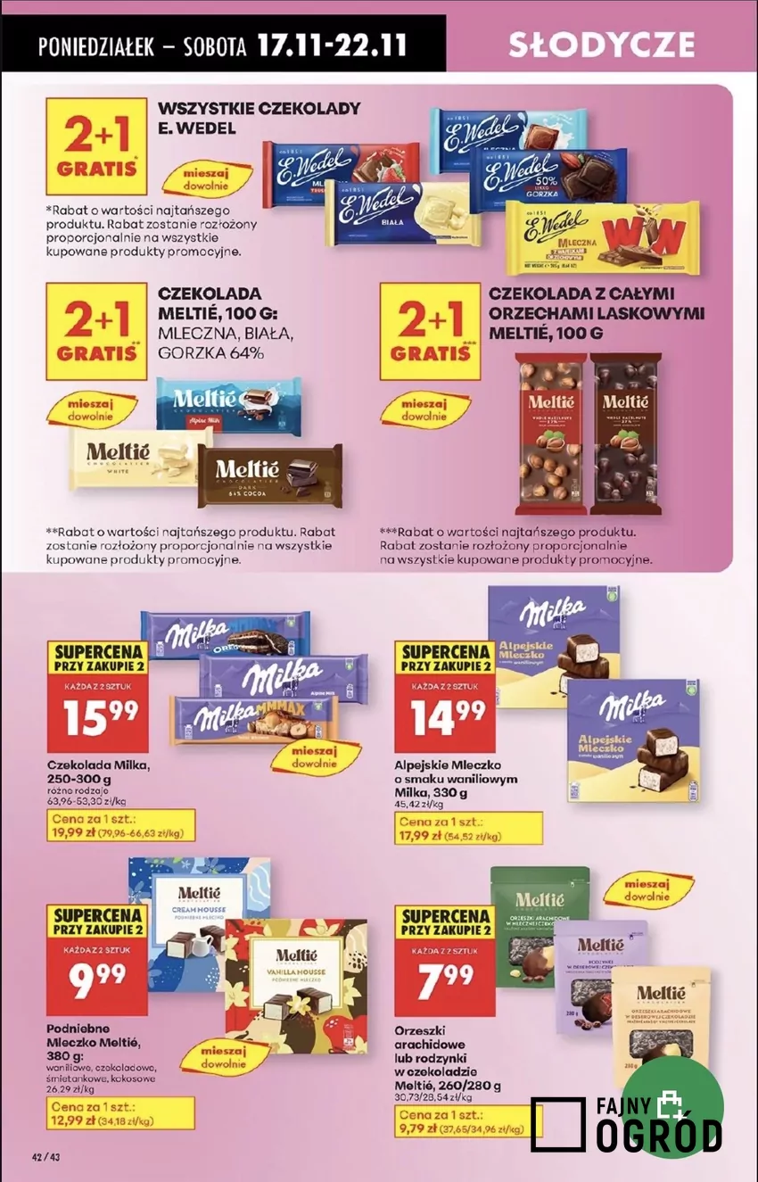 Promocje w Biedronce