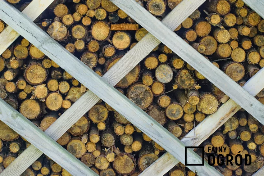 Drewutnia chroni opał przed deszczem i zapewnia lepsze warunki suszenia sezonowanie drewna na opał