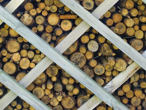 Najszybciej schnące drewno kominkowe