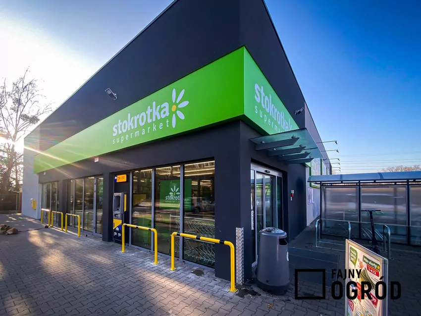 Nowa gazetka Stokrotki ważna do 26 listopada Stokrotka