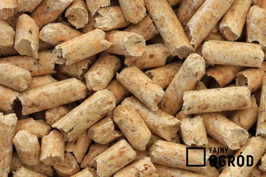Oznaką dobrego peleltu jest brak luźnych, drobnych trocin w worku Kolor pelletu nie jest jednoznaczną cechą jakości pelletu