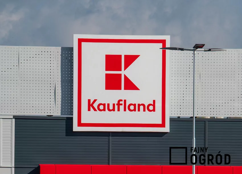Przegląd gazetki Kauflanda z dn. 20-26.11 Kaufland