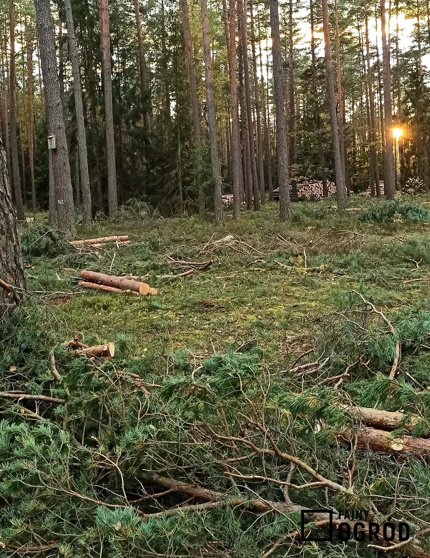 Po wyrobieniu sortymentów użytkowych na powierzchni pozostają niewymiarowe resztki