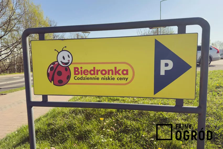 Przegląd gazetki Biedronki z dn. 24-29.11 Biedronka