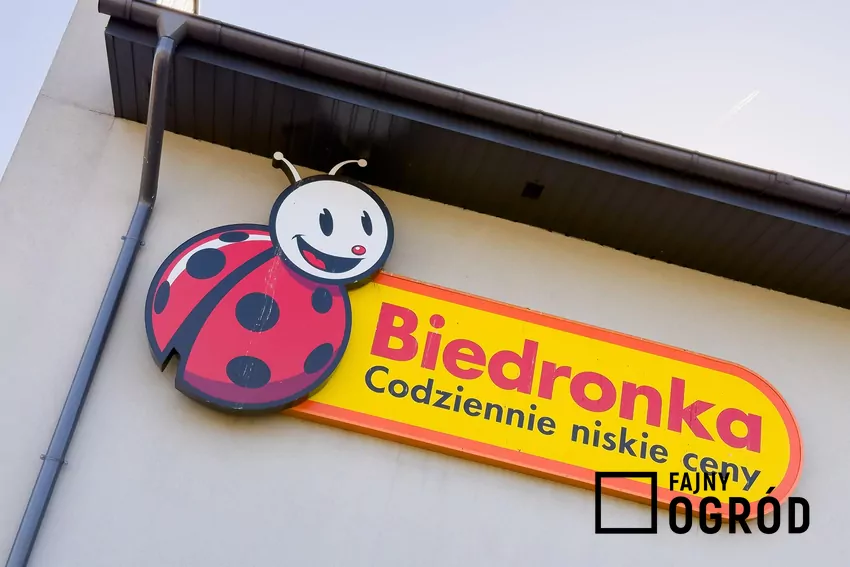 Biedronka - logo