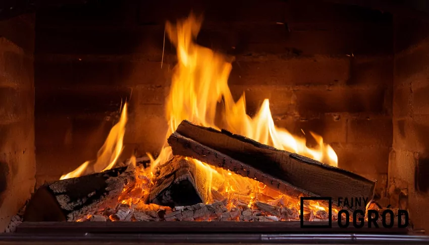 Suche drewno opałowe przygotowane na zimę – tylko dobrze sezonowane zapewnia wysoką wydajność drewno pali się w kominku