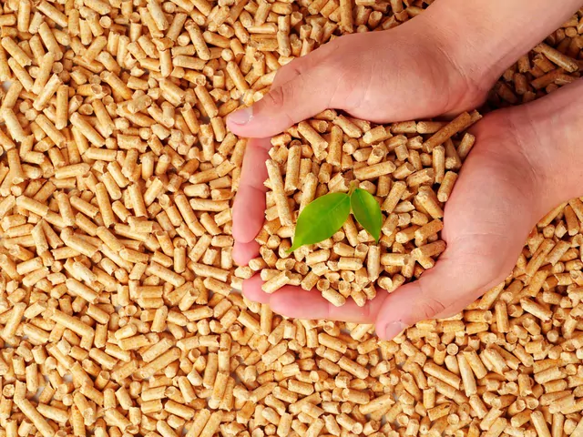 Gdzie wyrzucać popiół z pelletu?