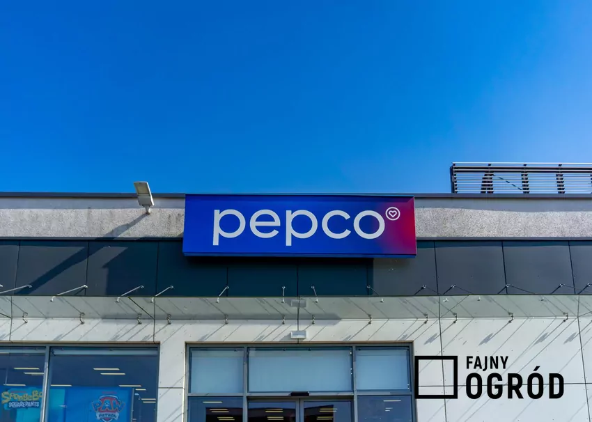 Pepco Bydgoszcz