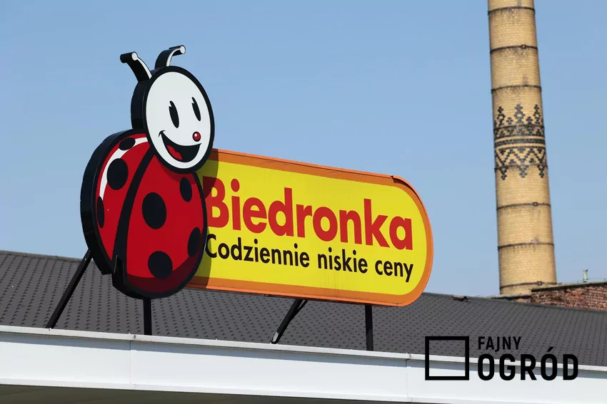 Przegląd gazetki Biedronki z dn. 24-29.11 Sklep Biedronka