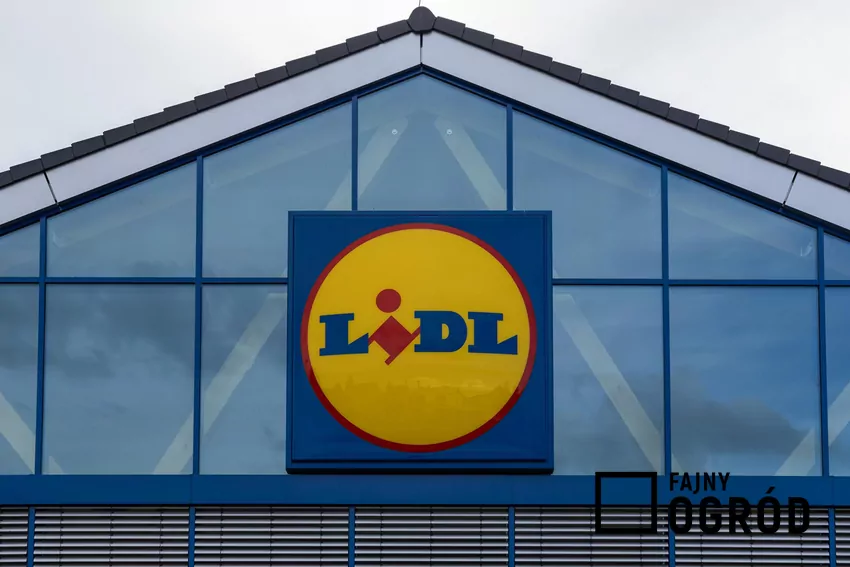 Przegląd gazetki Lidla z dn. 27-29.11 Sklep Lidl