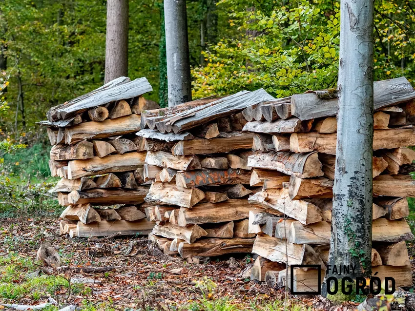 Na opał przeznacza się drewno, które nie odpowiada warunkom technicznym drewna użytkowego