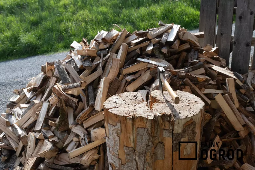 W kominku można spalać różne rodzaje drewna pod warunkiem, że jest suche