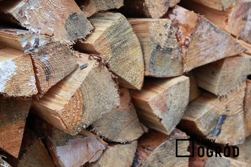 Mimo wysokiej wartości opałowej, drewno sosny spala się stosunkowo szybko