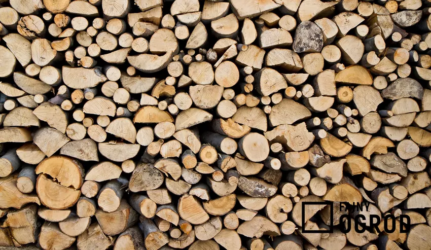 Drewno może pleśnieć, gdy nie ma dostępu do powietrza drewno