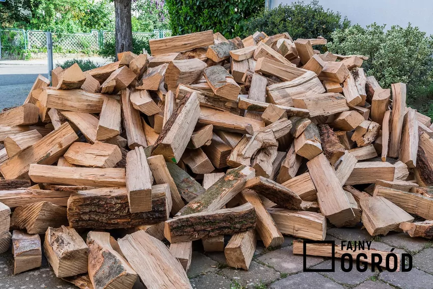 Niesprawdzeni sprzedawcy oferują drewno mieszane, zamiast deklarowanego grabu lub dębu Drewno na opał