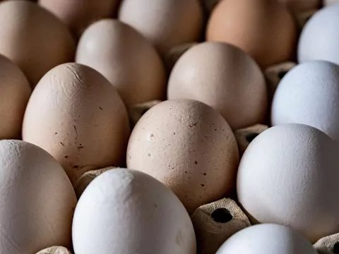 Skąd pochodzą jajka w polskich sklepach