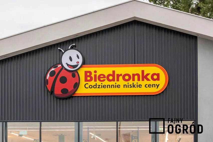Przegląd gazetki Biedronki z dn. 1-7.12 Biedronka